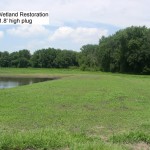 Wetland Restoration