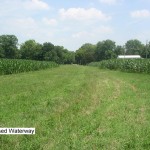 Grassed Waterway